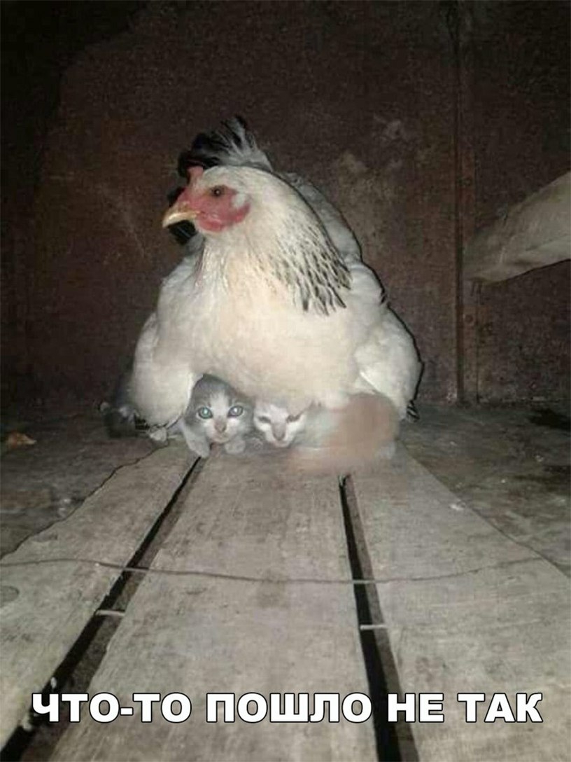 чтт э иё
