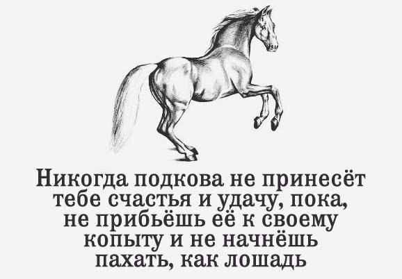 Никогда подкова не принесёт тебе счастья и удачу пока не прибьешь ее к своему КОПЫГу И не начнешь пахать как лошадь