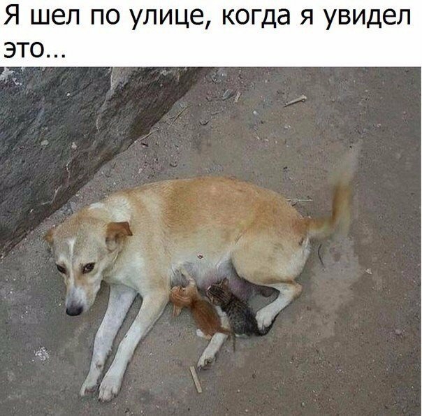 Я шел по улице когда я уви это