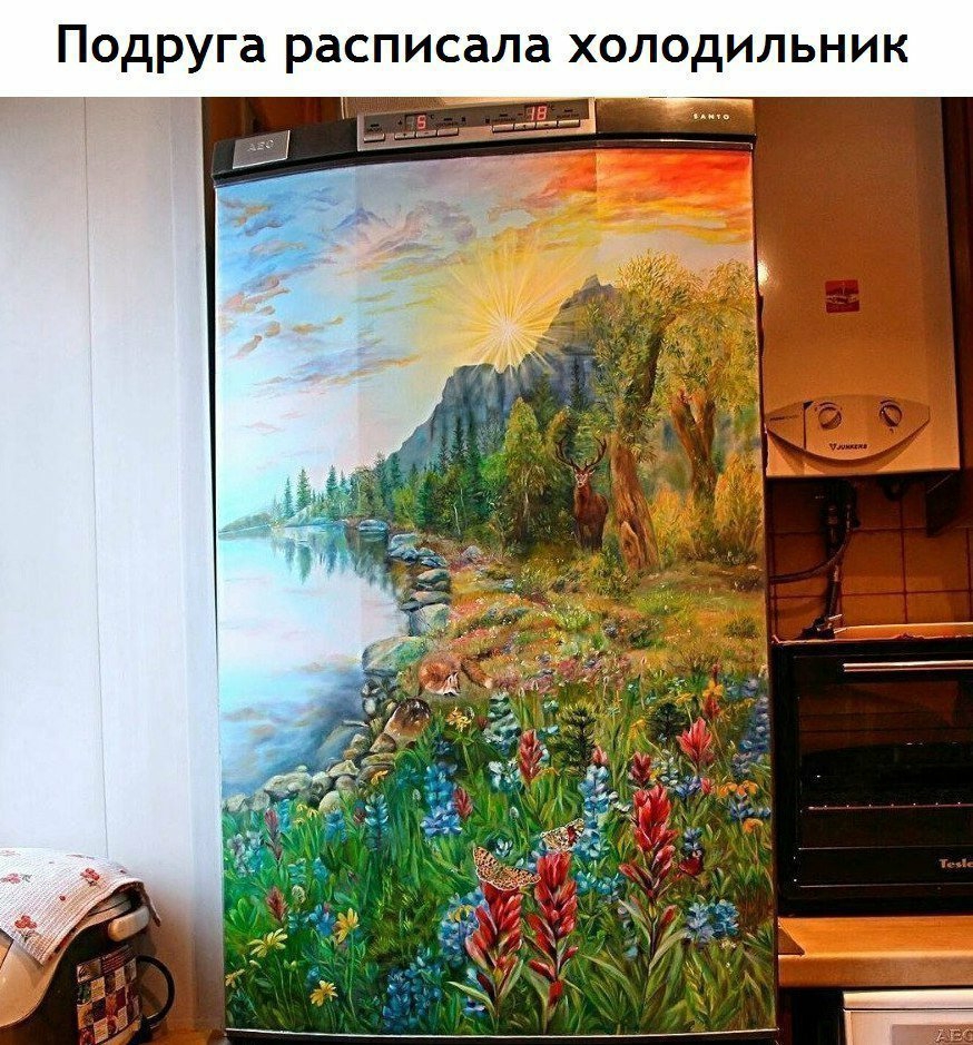 Подруга расписала холодильник