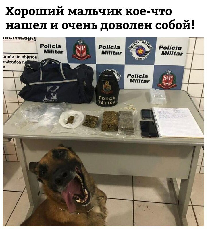 Хороший мальчик кое что нашел и очень доволен собой риши Рос ____Щ__ _ ит МПИ г мии г