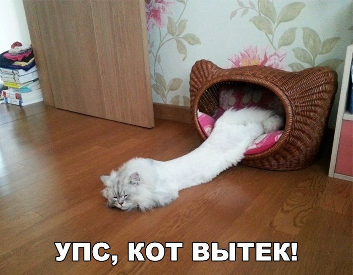 УПС _КОТ ВЫТЕК