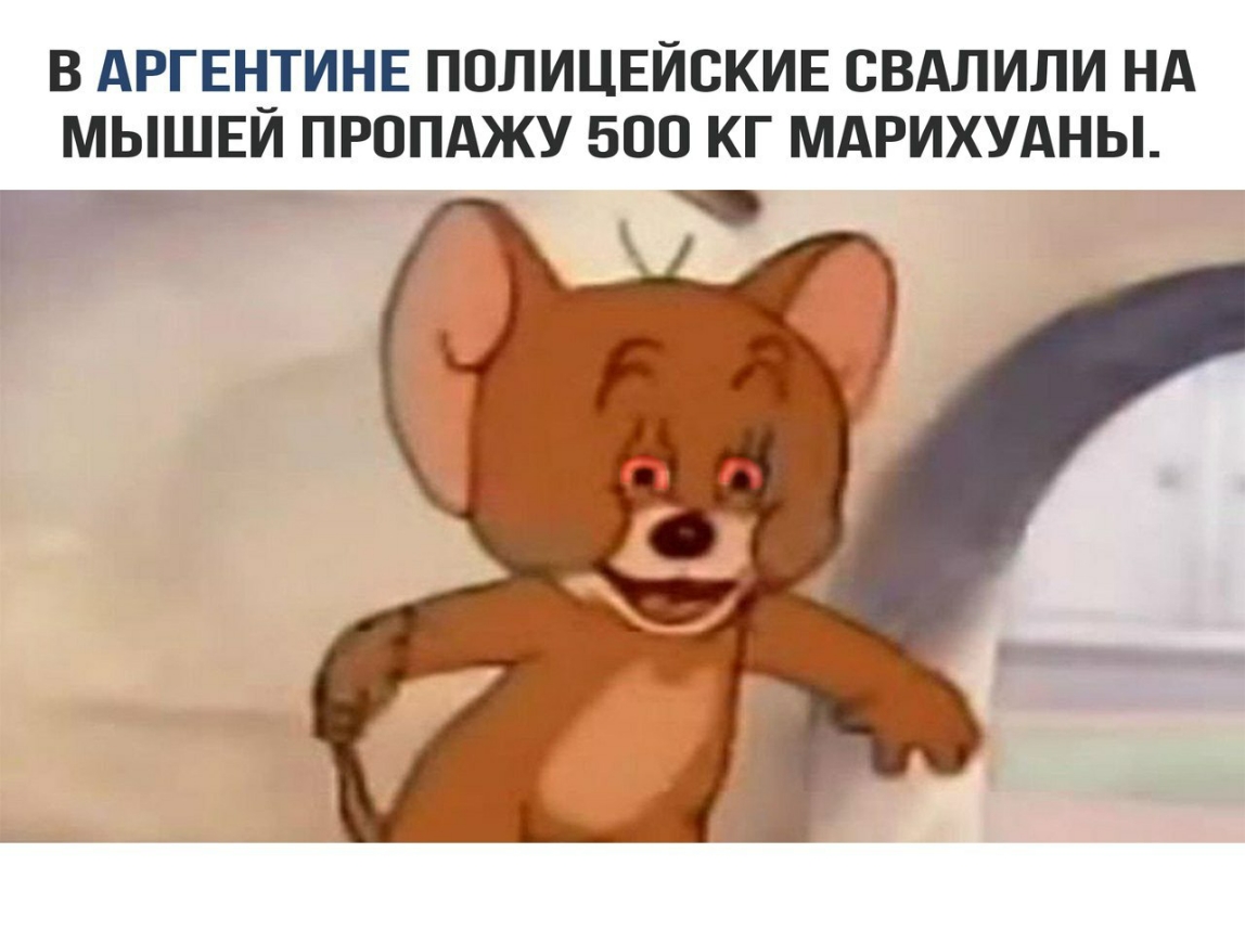 В АРГЕНТИНЕ ПППИЦЕЙВКИЕ ВВАЛИПИ НА МЫШЕЙ ПРППАЖУ 500 КГ МАРИХУАНЫ
