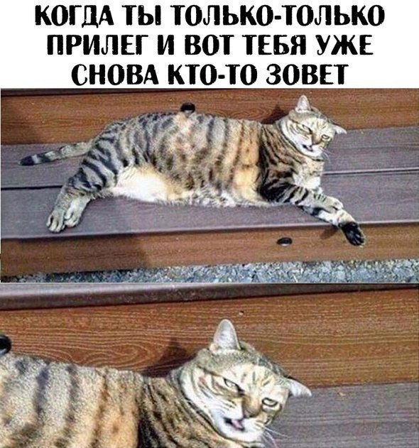КОГДА ТЫ ТОЛЬКО ТОЛЬКО ПРИЛЕГ И ВОТ ТЕБЯ УЖЕ СНОВА КТО ТО ЗОВЕТ
