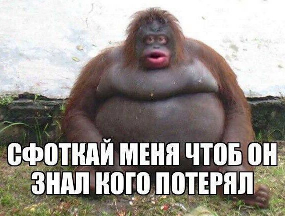 ВФЩНАЙ МЕНЯ чтоб он ЗШШ ПОЪПЩЕРПЛ