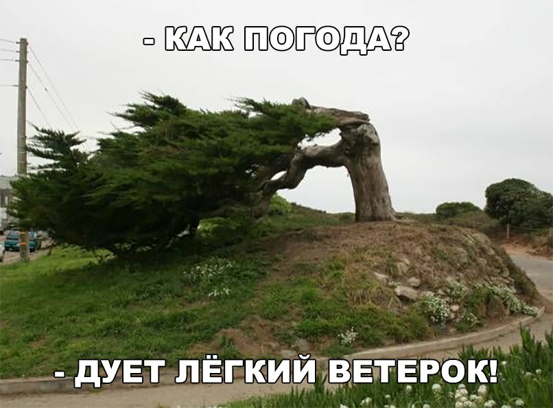 Ш ЁЫПЁЫЁЬЁ дует лёгкий ввтввокг