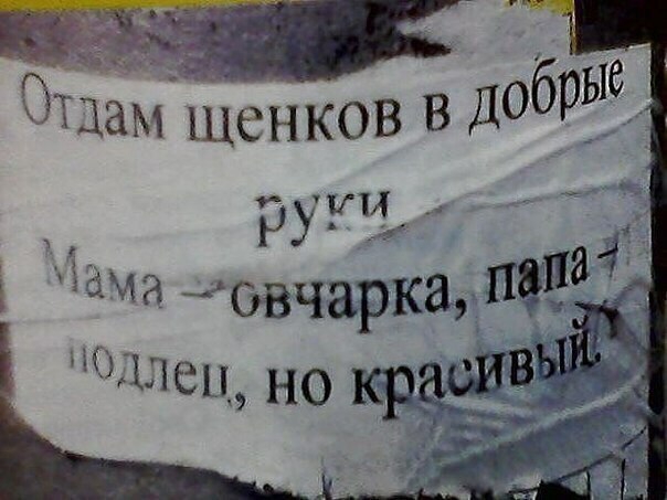 обрЫе Тц ам щенков В Д Зіа р И _08 чарки Мпа