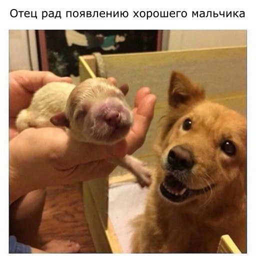 ОТЭЦ рад появлению ХОРОШЕГО мальчика