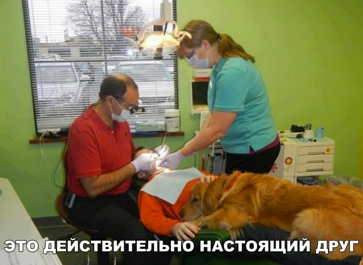 я к сел Го ДЕЙСТВИТЕЛЬНО Г Хеч ке ГТГ 7 а ДВ