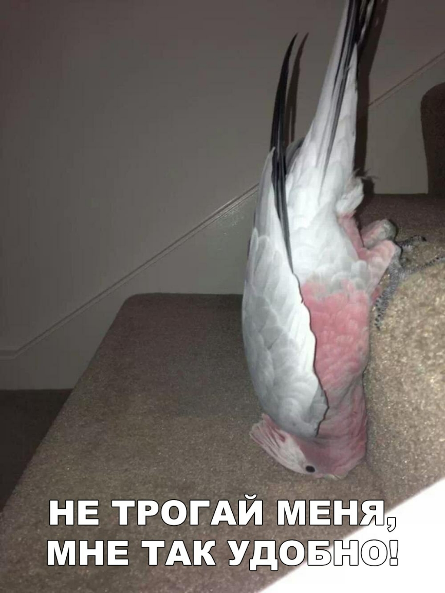 НЕ трогАйдмвня МНЕ ТАКУДОБНЁЭЭЩ