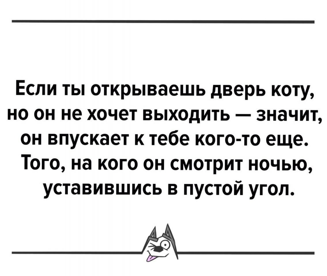 Если ты открываешь дверь коту но он не хочет выходить значит он впускает к тебе кого то еще Того на кого он смотрит ночью уставившись в пустой угол _ёА