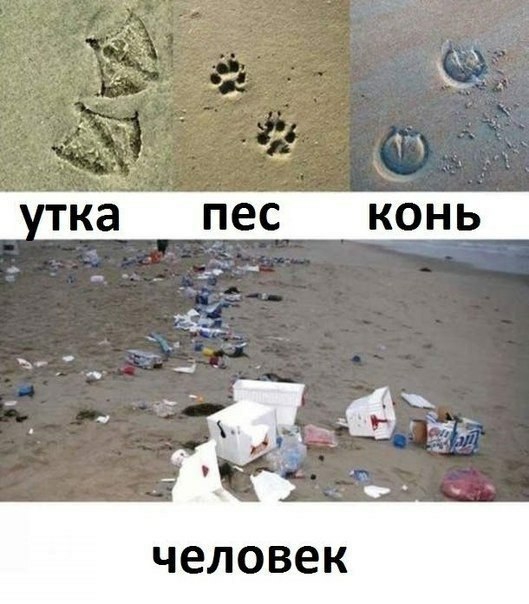 человек