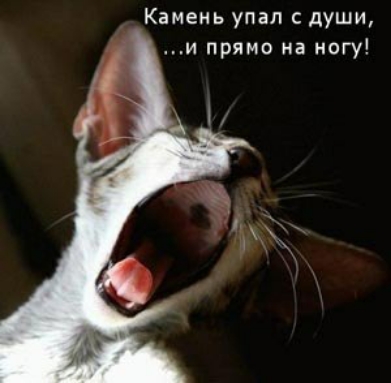 Камень упал с души и прямо на ногу