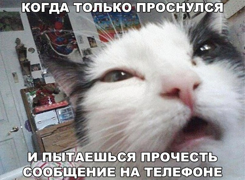 КОГДА ЛОЛЬКОПРО