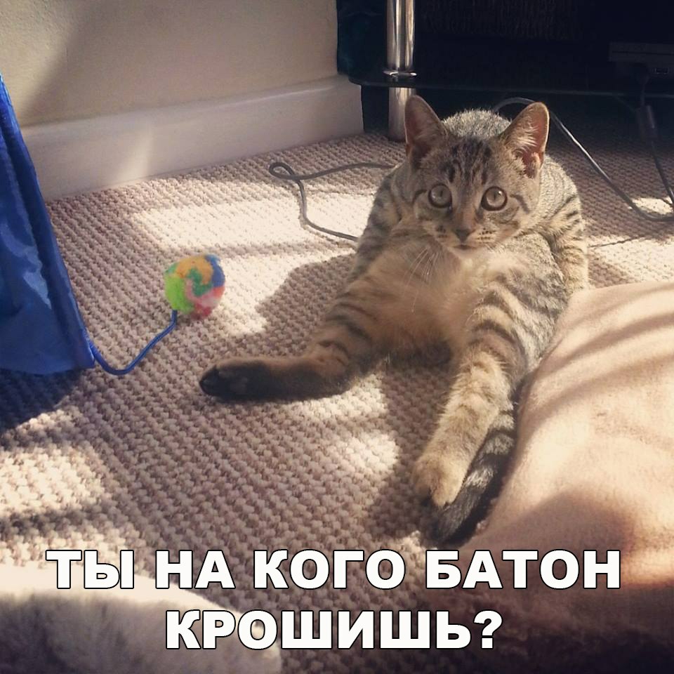 КРОШИШЬ