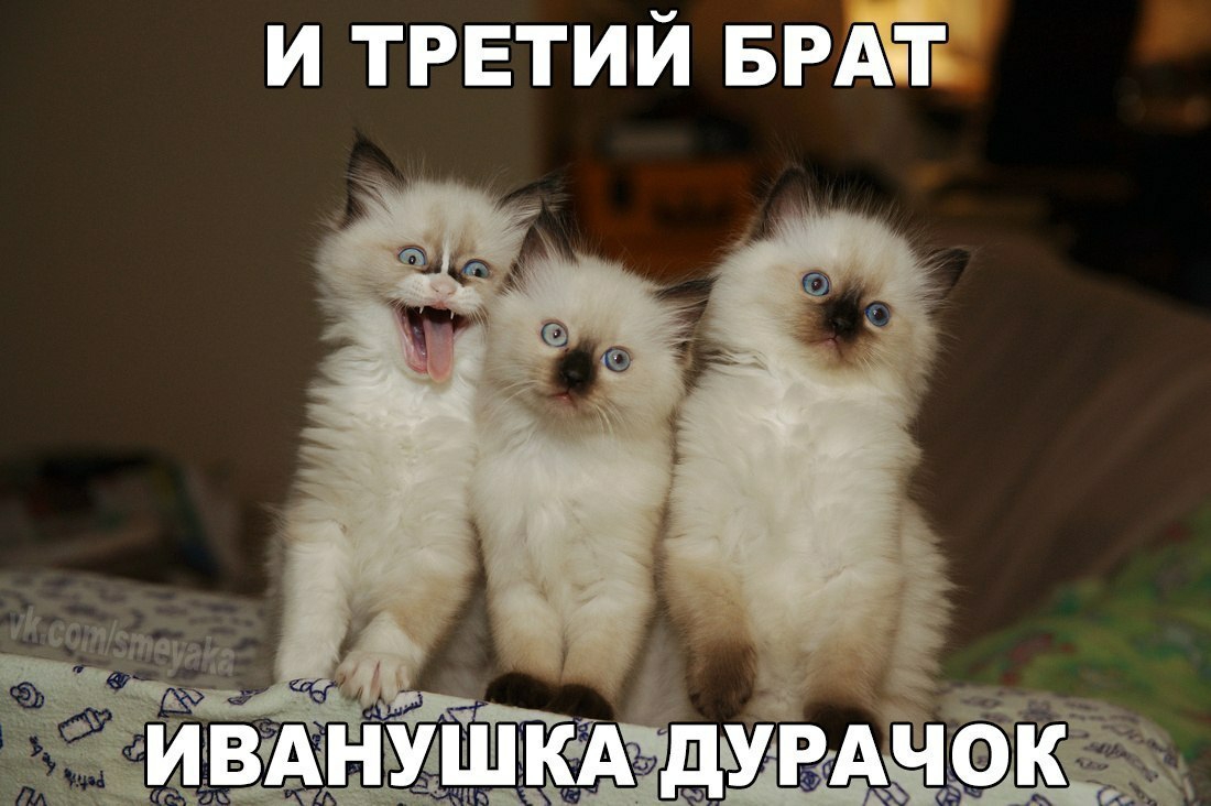 И ТРЕТИЙ БРАТ