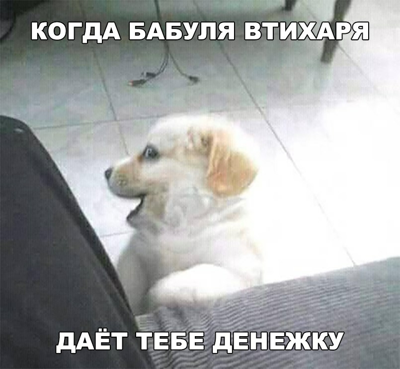 Ко я 7 7 21 р ВТИХАРЯ ДАЁТ ТЕБЕ ДЕНЕЖКУ