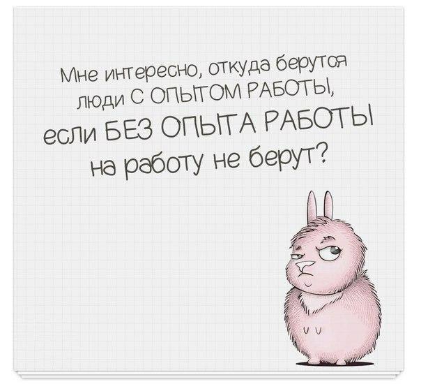 Мне интересно откудё берутся люди ОПЫТОМ РАБОТЫ если БЕЗ ОПЫТ А РАБОТЫ на работу не берут