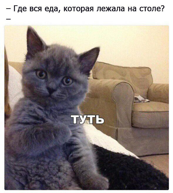 _ Где ВСЯ еда Которая лежала на столе