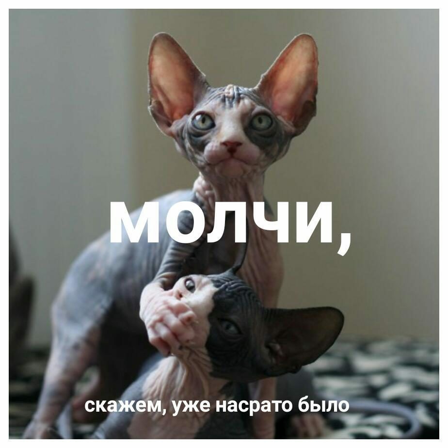 ск ем уже насрато было