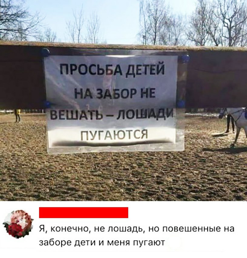 Ются _гъ Я конечно не лошадь но повешенные на заборе дети и меня пугают