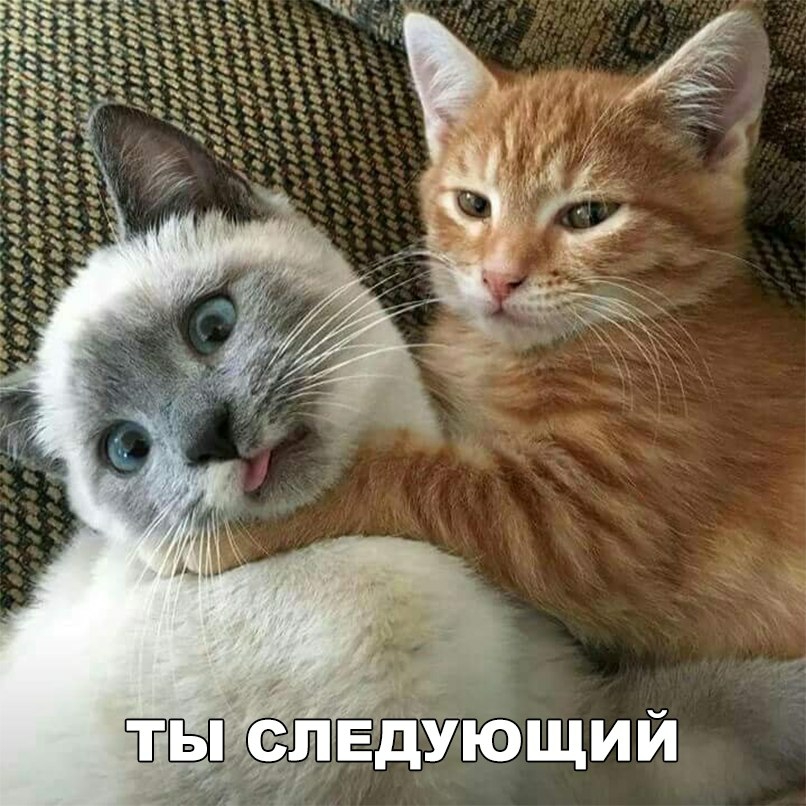 хд мм ЁЁ чч чч1ыё ч тж 213 ъча _