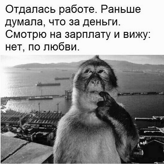 Отдалась работе Раньше думала что за деньги Смотрю на зарплату и вижу нет по любви