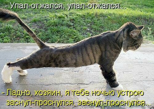 о ус Трою