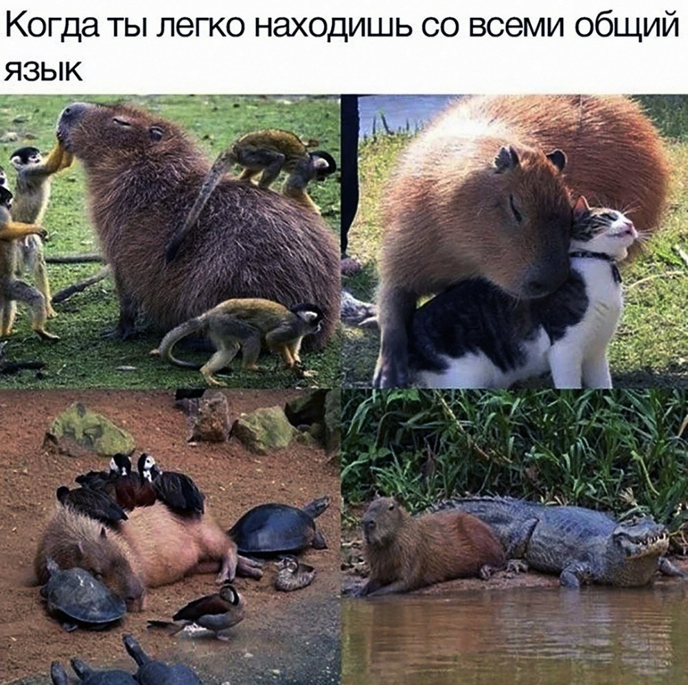 Когда ты легко находишь со всеми общий
