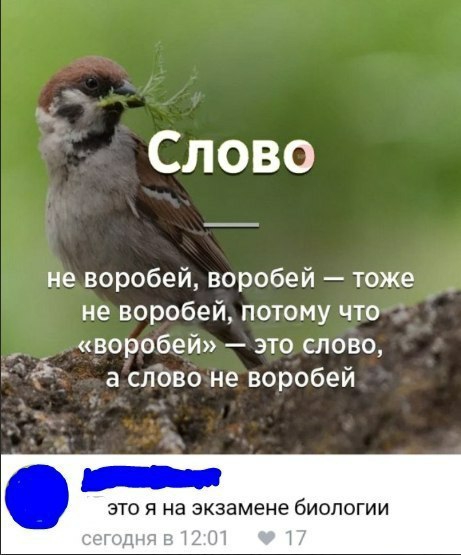 Слово не воробей воробей тоже не воробей потому что воробей это слово а слово не воробей