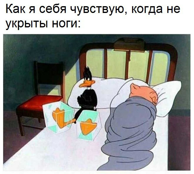 Как я себя чувствую когда не укрыты ноги