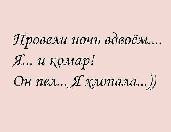 72290681 НОЧЬ вдвоём Я и комар Он пелЯхлопала