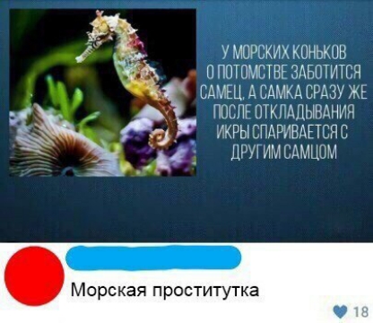 0РЦКИХ КЦНЬКШН П ППТПЧПТНГ МБПИТГЧ ЕАКШ АВМ ЕНЗУ ЖЕ ПШ НЮ АШЦНАНИЪТ ЖРЫ ЗГАРИБАПЁЯС _ д _ Ш д ИМ ЕДМЦДМ Морская проститутка