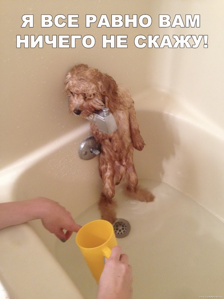 всЕ РАНОг А НИЧЕГО нЕ скджуд