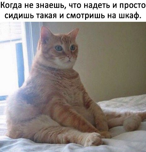 Когда не знаешь что надеть и просто сидишь такая и смотришь на шкаф
