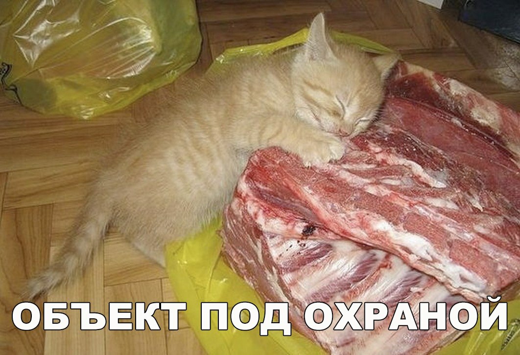 и _ _ а 913 ОБЪЕКТ ПФД ФЖ НИд 311