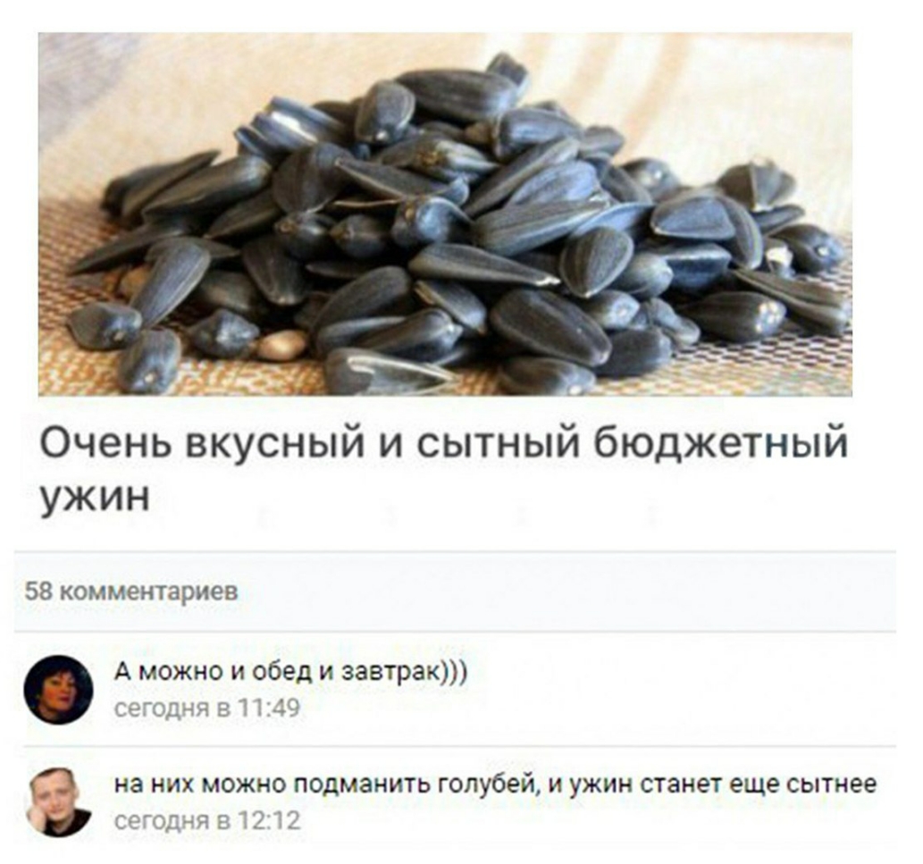Очень вкусный и сытный бюджетный ужин 58 комментариев А можно и обед и завтра Ж на них можно подменить голубей и ужин станет еще сытнее _