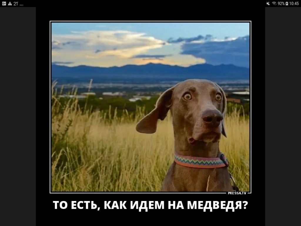 ЫА27 кгтьпшаз визиту ТО ЕСТЬ КАК ИдЕМ НА МЕДВЕДЯ