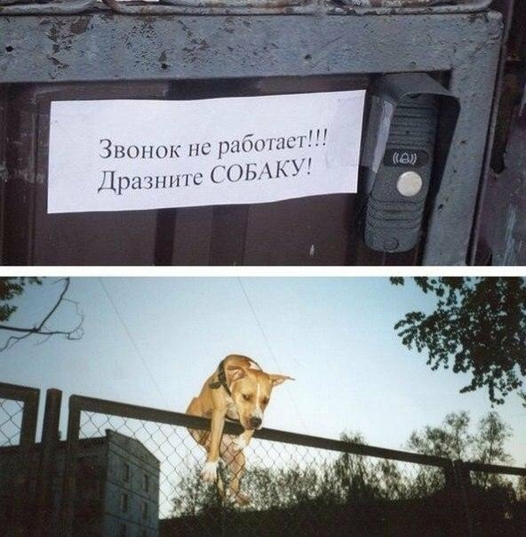 Звонок нс 115 ЬКі ірынпнс