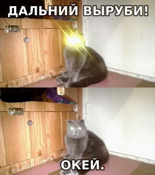 ДАЛЬНИЙ ВЫРУБИП ц