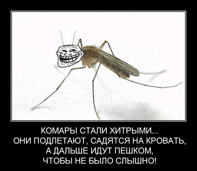 КОМАРЫ СТАЛИ ХИТРЫМИ ОНИ ПОДПЕТАЮТ САДЯТСЯ НА КРОВАТЬ А ДАЛЬШЕ ИДУТ ПЕШКОМ ЧТОБЫ НЕ БЫЛО СЛЫШНО