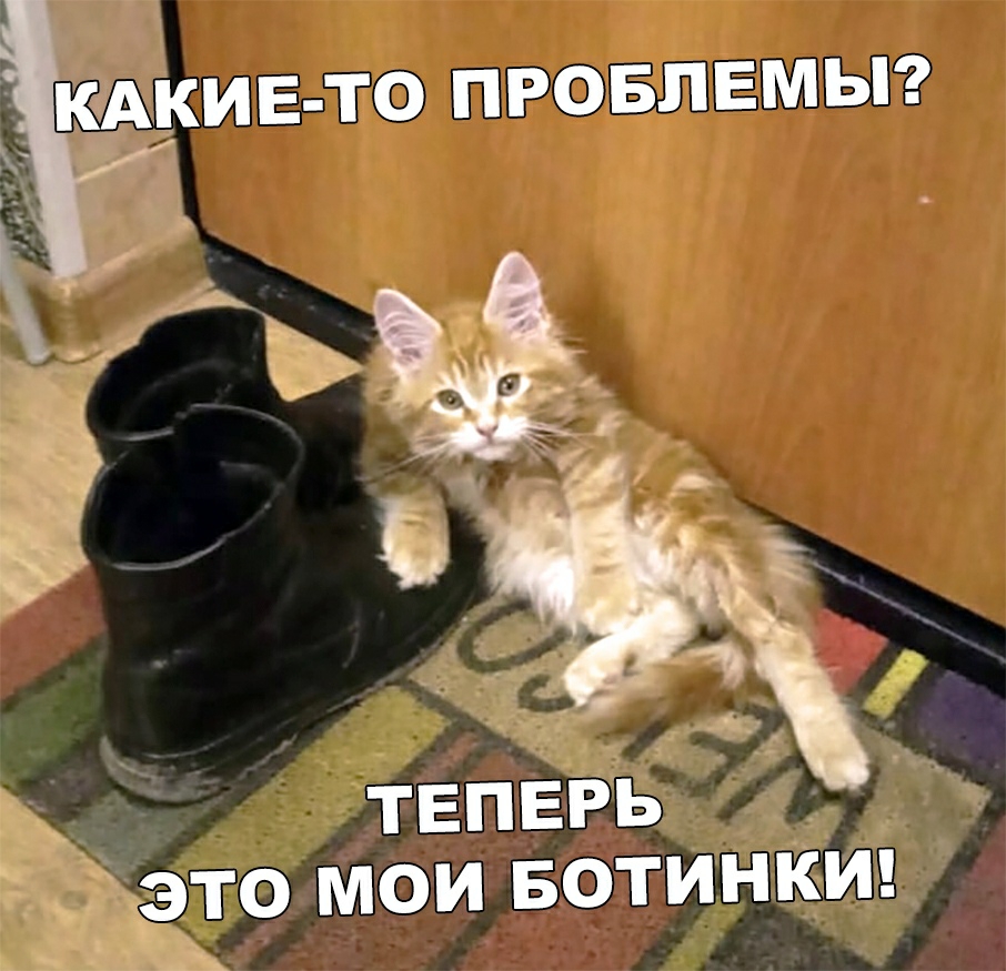 КАКИЕ ТО провпвмьп