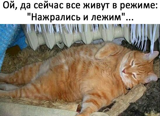 Ой да сейчас все живут в режиме Нажрались и лежим