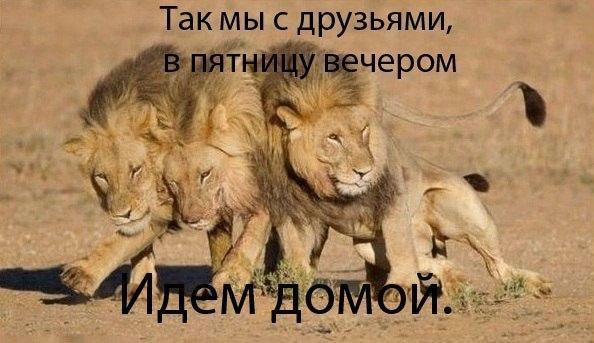 так мы С ДРУЗЬЯМИ