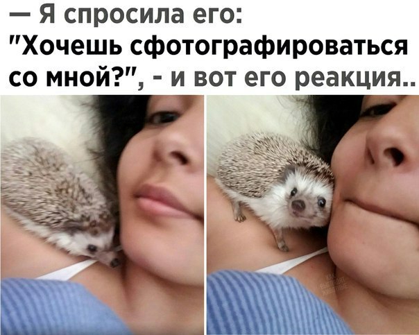 Я спросила его Хочешь сфотографироваться со мной и вот его реакция