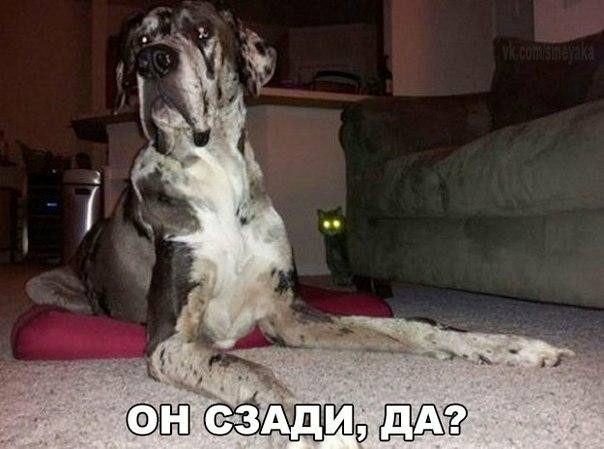 ы а