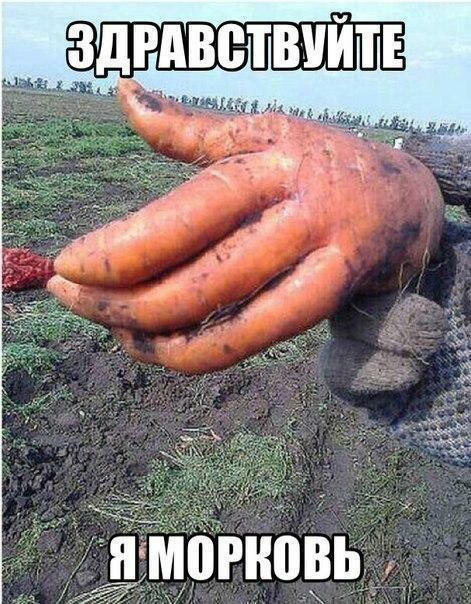 а ц