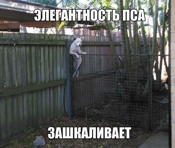 _ у и зп_шнтн11 _ Ёпы _ ЗАШШШИВАЕТ __1_ Д _ дддчч
