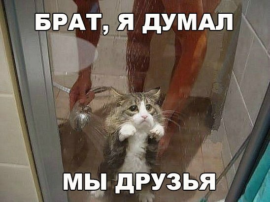 1 мы дгэзвгё