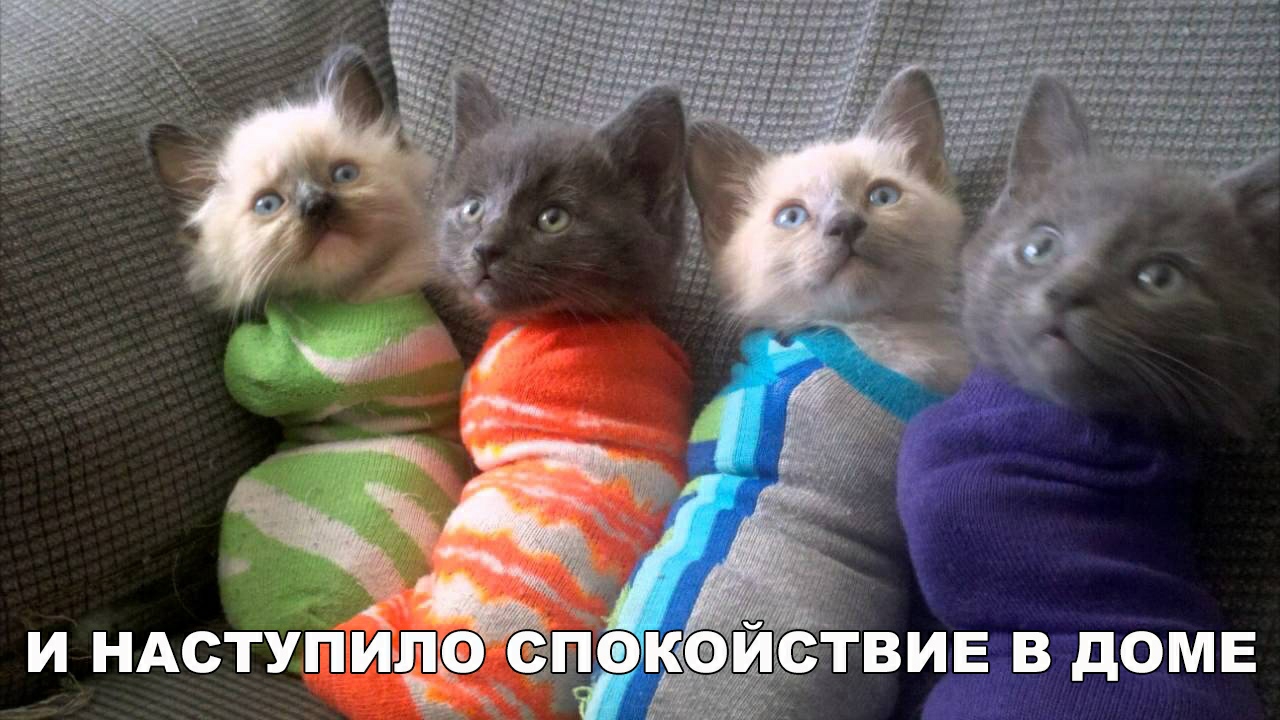 и и и и с Я днщизплгу июн и и НАсТУП МЪФКЕЁЗ ТВИЕ в доме